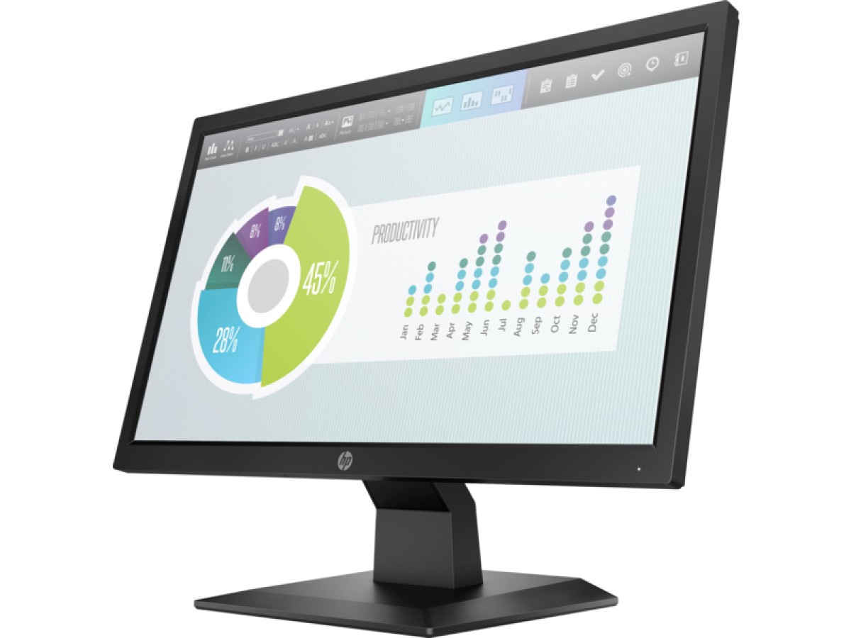 HP P204v 19.5" Monitor